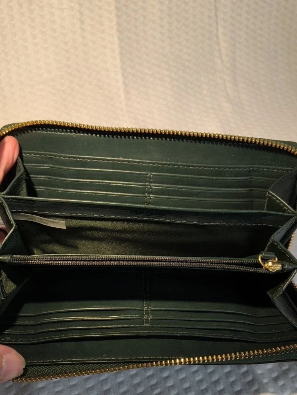 Coach stylish green